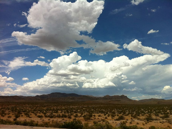 Blue Arizona Skies 